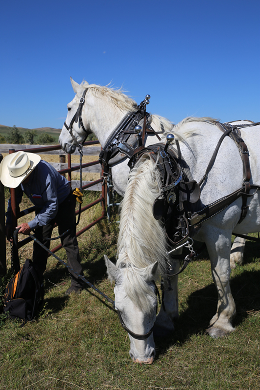 IMG_3445-e1442156311889